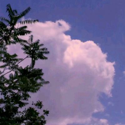 星聚百度版下载